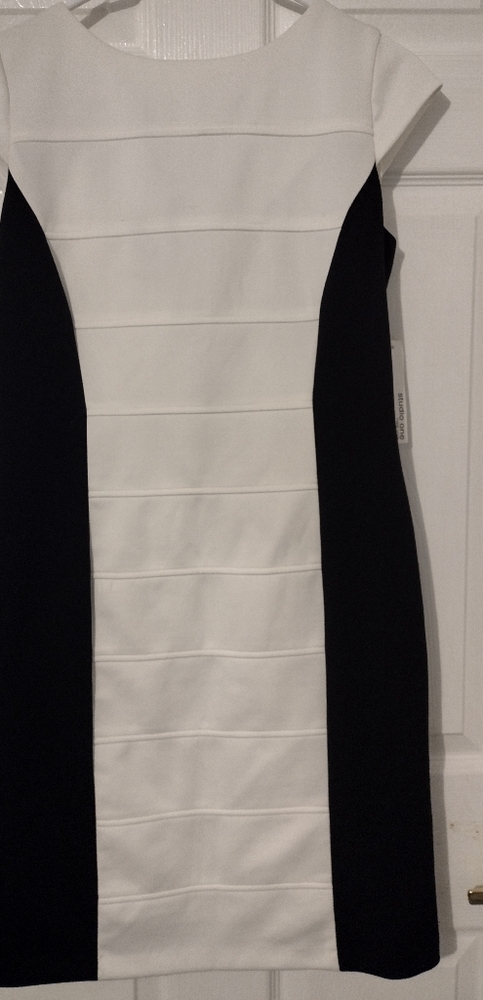 Women's work dress